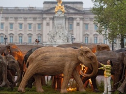 У Букингемского дворца установили 125 деревянных слонов