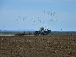Крымские сельхозпроизоводители получили более 23 млн рублей субсидий