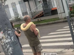 Пара харьковчан на улице выгуливала огромных змей (фото)