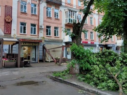 Непогода в Украине: смерч и сваленные деревья