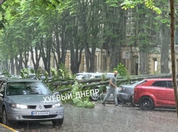 Буря в Днепре: падают деревья, остановились трамваи (фото)