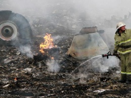 Выгоревшая трава и видео с "Буком": новые факты о сбитом MH17