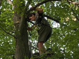 Харьковским спасателям пришлось снимать подростка с дерева