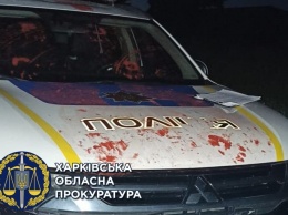 Дергачевский суд взял под стражу парня, который напал на полицейских и повредил им авто