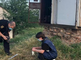 5-летний мальчик заживо сгорел в трансформаторной будке в Измаиле (ФОТО)