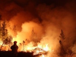 В России огонь уничтожил уже более миллиона гектаров леса