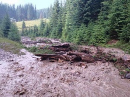Паводки отрезали часть села от дороги на Закарпатье (ФОТО)