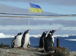Объявили отбор в 27-ю Украинскую антарктическую экспедицию