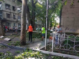 От непогоды в Одессе пострадали полтора километра сетей наружного освещения, а в области обесточены 25 сел