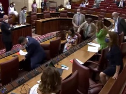 В Андалусии крыса сорвала заседание парламента