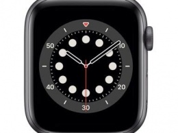 Какие функции Apple Watch способны упростить жизнь?