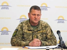 Новым главнокомандующим ВСУ стал генерал-майор Залужный - что о нем известно