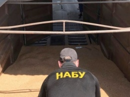 Директор николаевского предприятия Госрезерва пытался украсть зерна на 12 миллионов