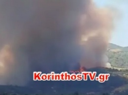 Вслед за Турцией пожары охватили Грецию: эвакуируют целые деревни (видео)