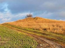В Днепропетровской области трое мужчин незаконно культивировали археологические памятники