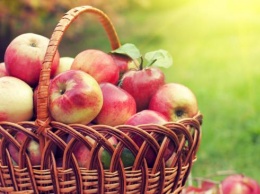 19 августа отмечают яблочный Спас - история и традиции праздника