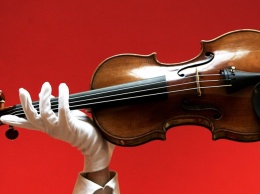 Тайна скрипки Страдивари. Ученые нашли ответ, почему инструменты имеют уникальное звучание