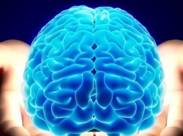 "Искусственный" мозг: ученые провели уникальный лабораторный эксперимент