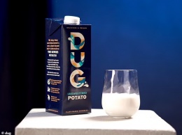 Шведская фирма начала выпускать молоко из... картофеля