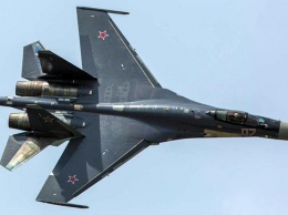 Индонезия потребовала от России поставить ей Су-35 в обмен на пальмовое масло