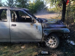 На запорожской трассе автомобиль влетел в дерево и загорелся - фото