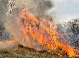 Пять пожарных расчетов при помощи фермеров тушат масштабный пожар в Мешково-Погореловской ОТГ