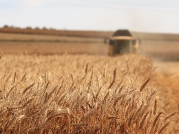 Украина может потерять до 0,8% ВВП из-за низких урожаев - Минфин оценил риски 2022 года