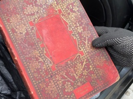 В Одесской области на границе задержали иностранца, который пытался вывезти старинные книгу и картину