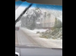 В Кемерове выпал первый снег: машины завалило деревьями (фото и видео)