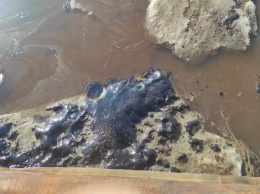 Экологи в Коми нашли нефтезагрязнение в 400 км от места разлива