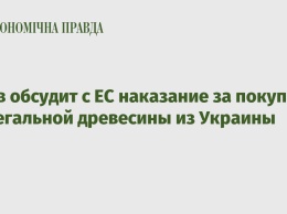 Киев обсудит с ЕС наказание за покупку нелегальной древесины из Украины