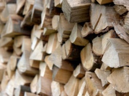 Житель Харьковской области продавал несуществующие дрова
