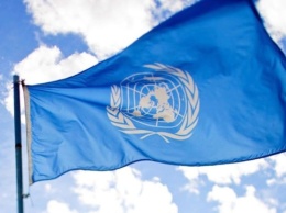 ООН признала чистую экологию неотъемлемым правом человека