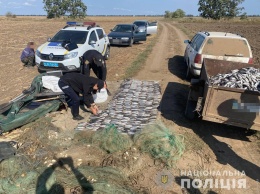 В Одесской области задержали браконьеров, которые нанесли государству урон на 1 миллион 750 тысяч гривен