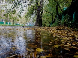 Дождь в Николаеве - на сутки. Объявлено штормовое предупреждение