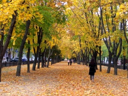 Осенние пейзажи: как выглядит Никополь в октябре