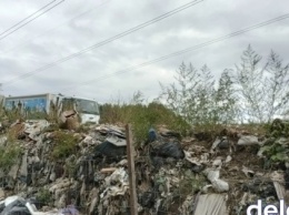 Украина не перерабатывает 95% отходов. Производителей хотят обязать утилизировать мусор