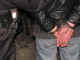 Полицейские задержали мужчину, вырвавшего из рук женщины мобилку