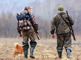 Законная охота в Украине: какие документы нужны и штрафы за их отсутствие