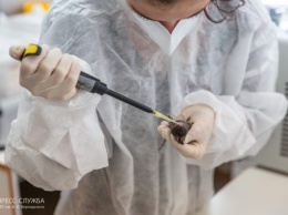 В Крыму испытывают новую вакцину от ковида на мышах