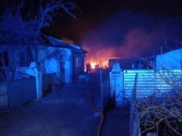 В Одесской области при пожаре погибли почти 200 овец