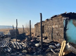 На ферме под Одессой, где сгорели овцы, рассказали подробности пожара