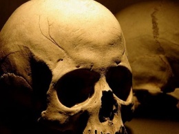 В Кривом Роге возле училища нашли человеческий череп