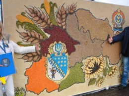 В Днепре создали самую большую в Украине карту из 65 килограммов зерна