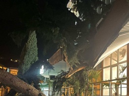 Четыре человека пострадали из-за стихии в Ялте