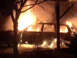 На Закарпатье сожгли автомобили журналиста и его супруги (ВИДЕО)