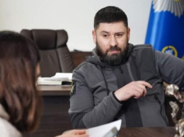 Гогилашвили уволили после скандала - СМИ