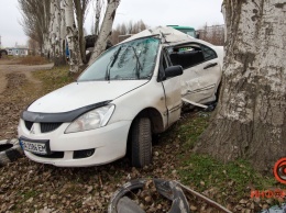 В Днепре возле "Каравана" Mitsubishi врезался в дерево: трое пострадавших