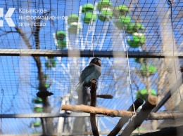 Житель Симферополя оставил Гагаринский парк без попугаев