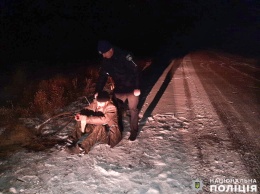 Полицейские помогли двум жителям Николаевской области добраться домой (ФОТО)